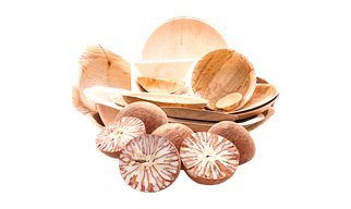 ARECANUT PALM LEAF PLATES