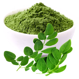 moringa leaf powder