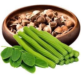 moringa seeds / powder