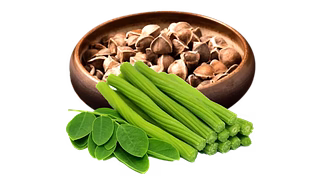 MORINGA SEEDS / POWDER