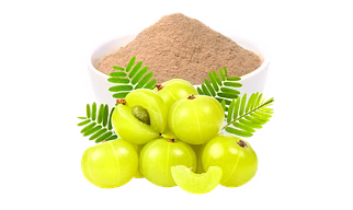 Amla Powder