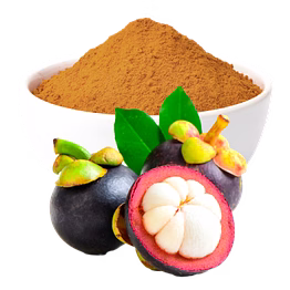 mangosteen powder