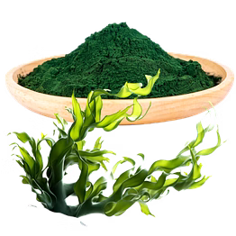 spirulina powder