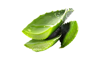 ALOE VERA GEL