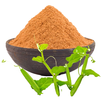 cissus quadrangularis (pirandai) stem powder
