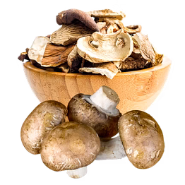 dried mushrooms