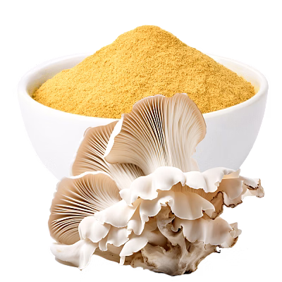dehydrated mushroom powder