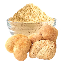 dried lions mane mushroom / powder