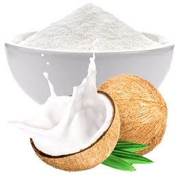spray dried coconut milk powder