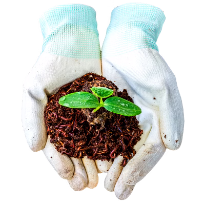 VERMICOMPOST image 1