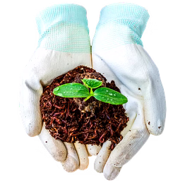 vermicompost