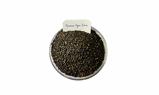 Sesame Seed