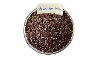 Mustard Seed