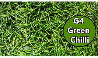 GREEN CHILI