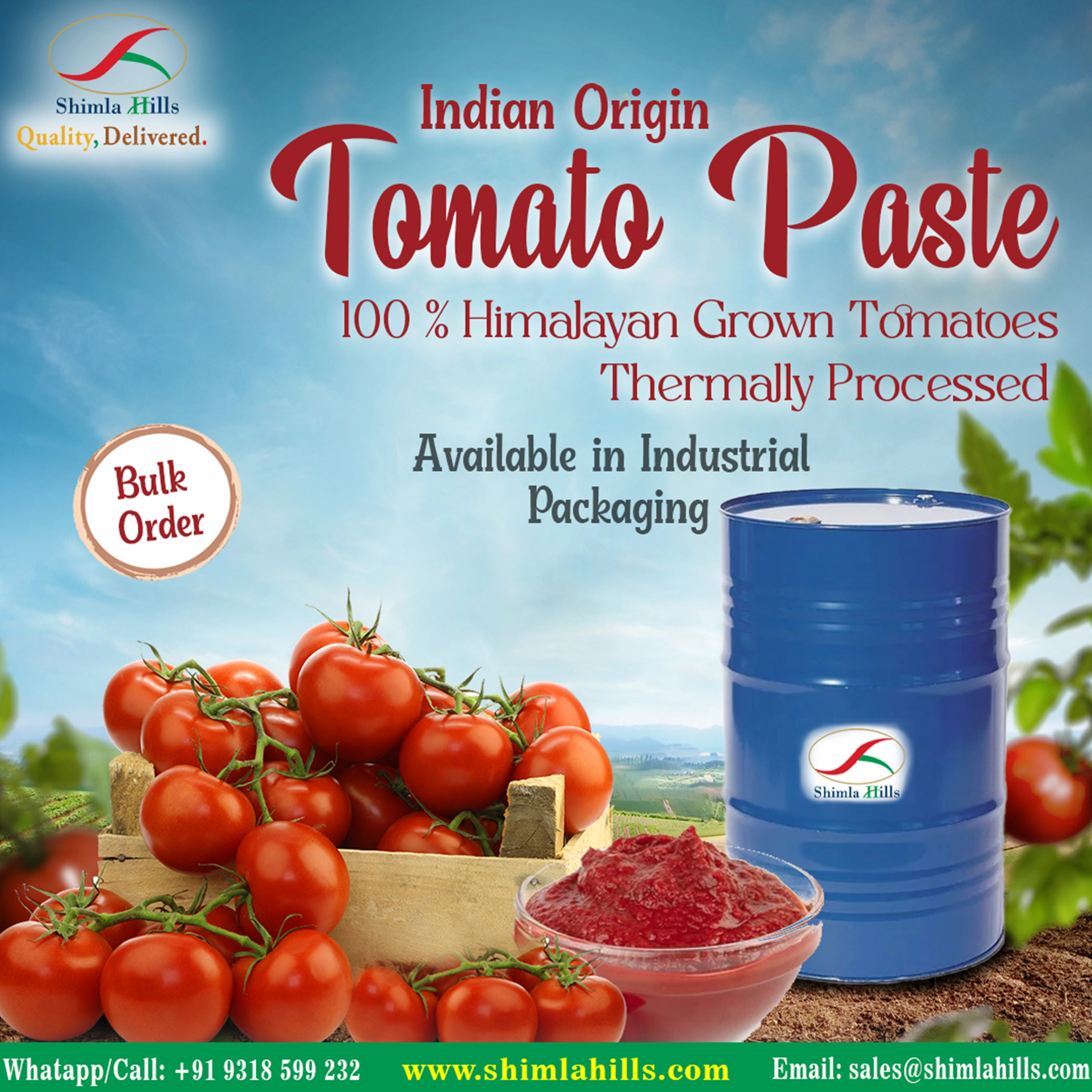 Tomato Paste-1