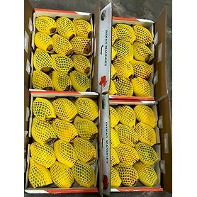 ALPHONSO MANGO