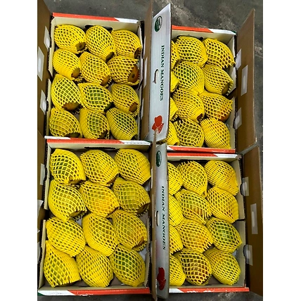 ALPHONSO MANGO-12549806