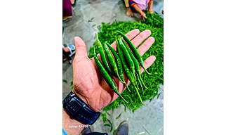 green Chilli