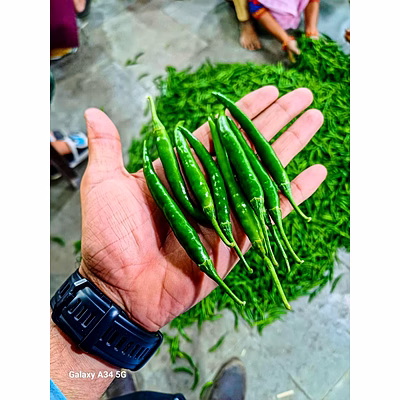 green chilli