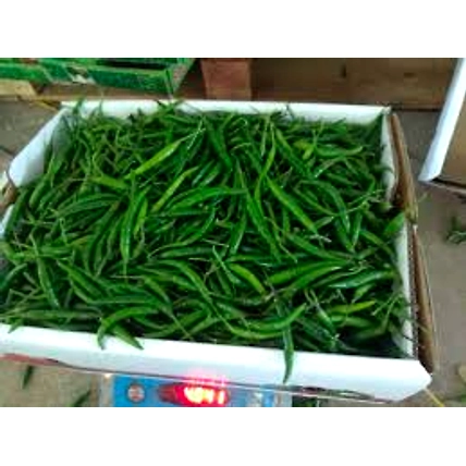 green Chilli-2
