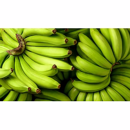 cavendish banana