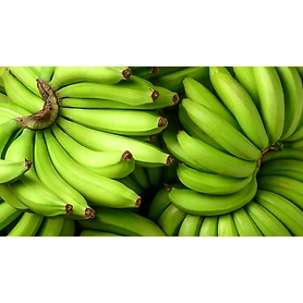 Cavendish Banana