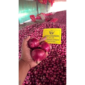 RED ONION