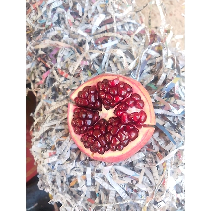 POMEGRANATE-2