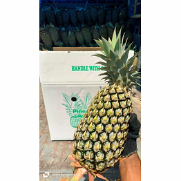 pineapple