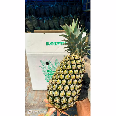 pineapple