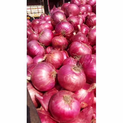 RED ONION-3