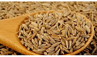 Cumin