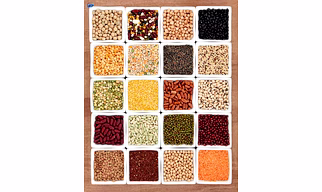 Pulses