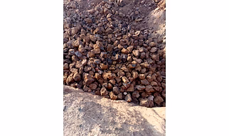 Iron ore Below 51%