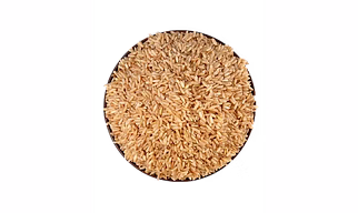 Sage Sonamasuri Brown Rice