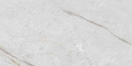 Asen Roma Bianco Galvanized Vitrified Tile - Carving-4