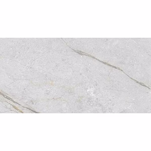 Asen Roma Bianco Galvanized Vitrified Tile - Carving