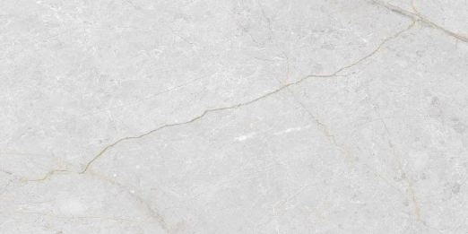 Asen Roma Bianco Galvanized Vitrified Tile - Carving-3