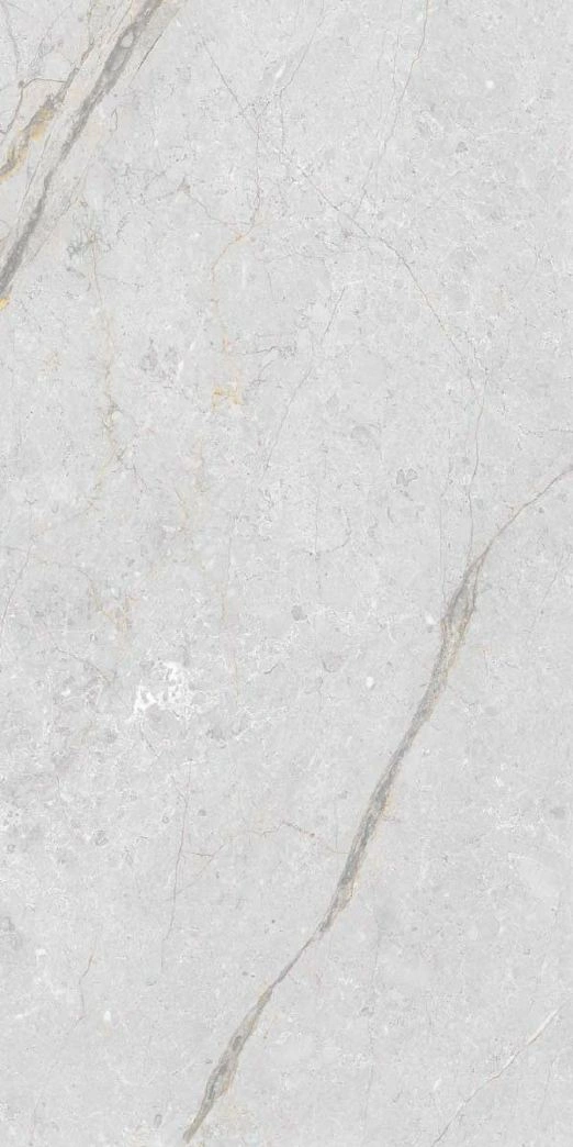 Asen Roma Bianco Galvanized Vitrified Tile - Carving-2