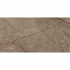 Asen Brown Bianco Galvanized Vitrified Tile - Carving