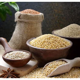 millets- sorghum