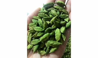 Cardamom