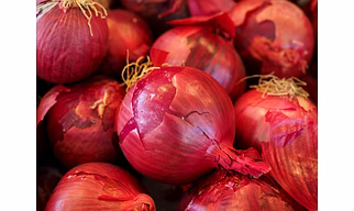 Onion
