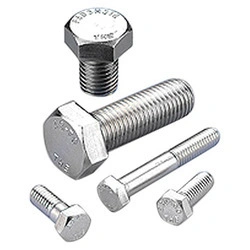 Hex Bolt-1