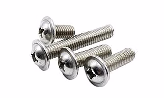 Washer Head Screw