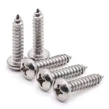 Self Tapping Screw-1