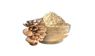 Oyester Mushroom (Powder)