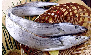 FROZEN RIBBON FISH
