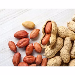 peanut