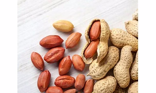 Peanut